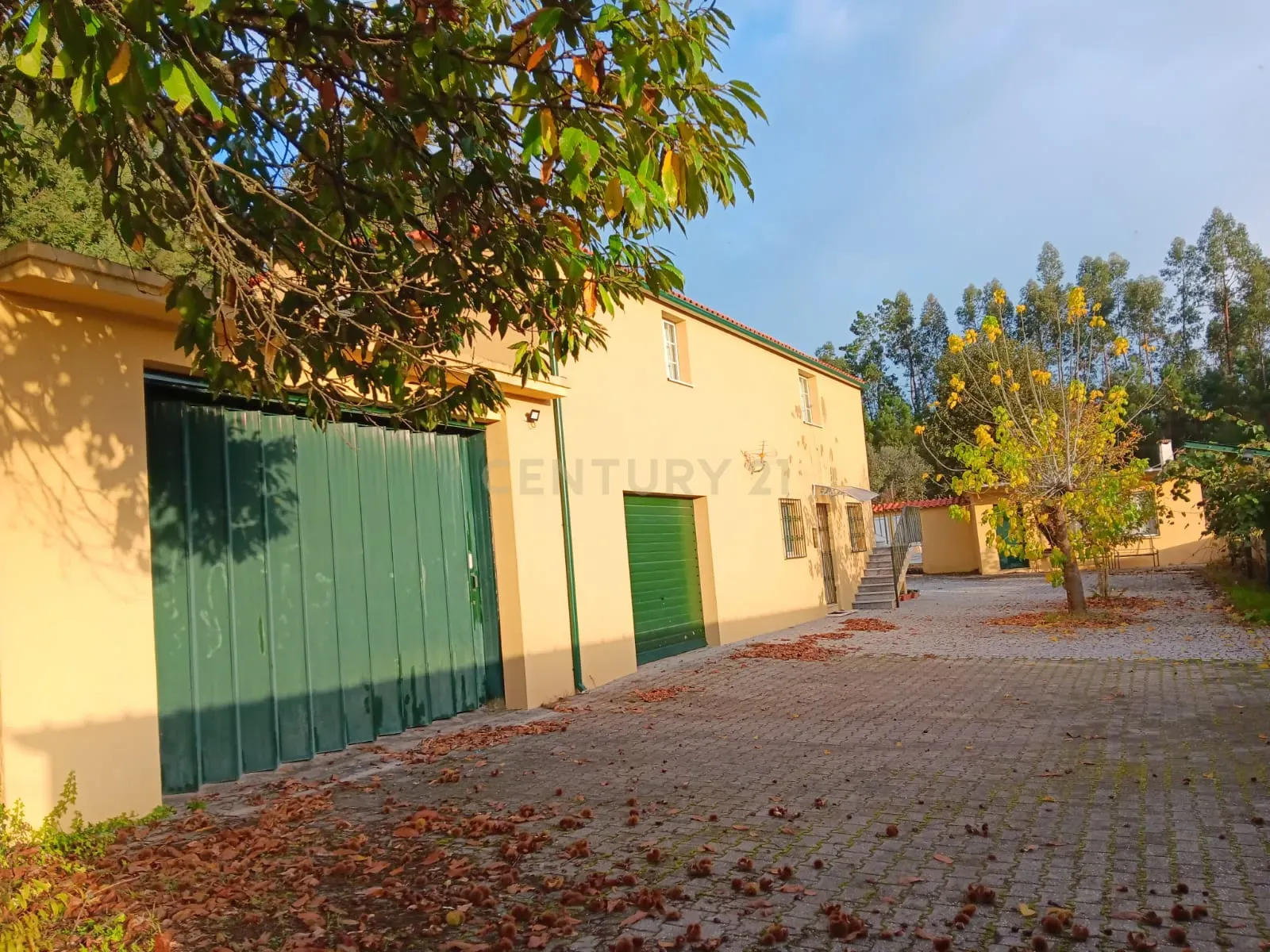 Quinta em Ribeira, Campo de Besteiros, Tondela. - Image 25