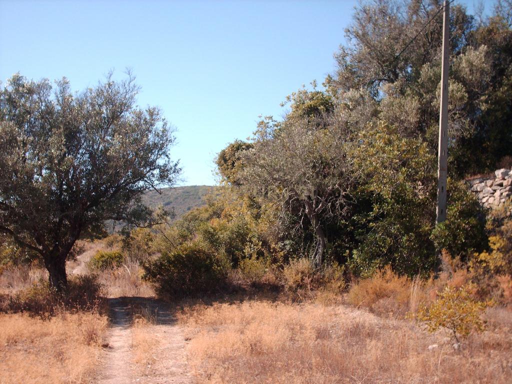 Terreno vista mar - Image 9
