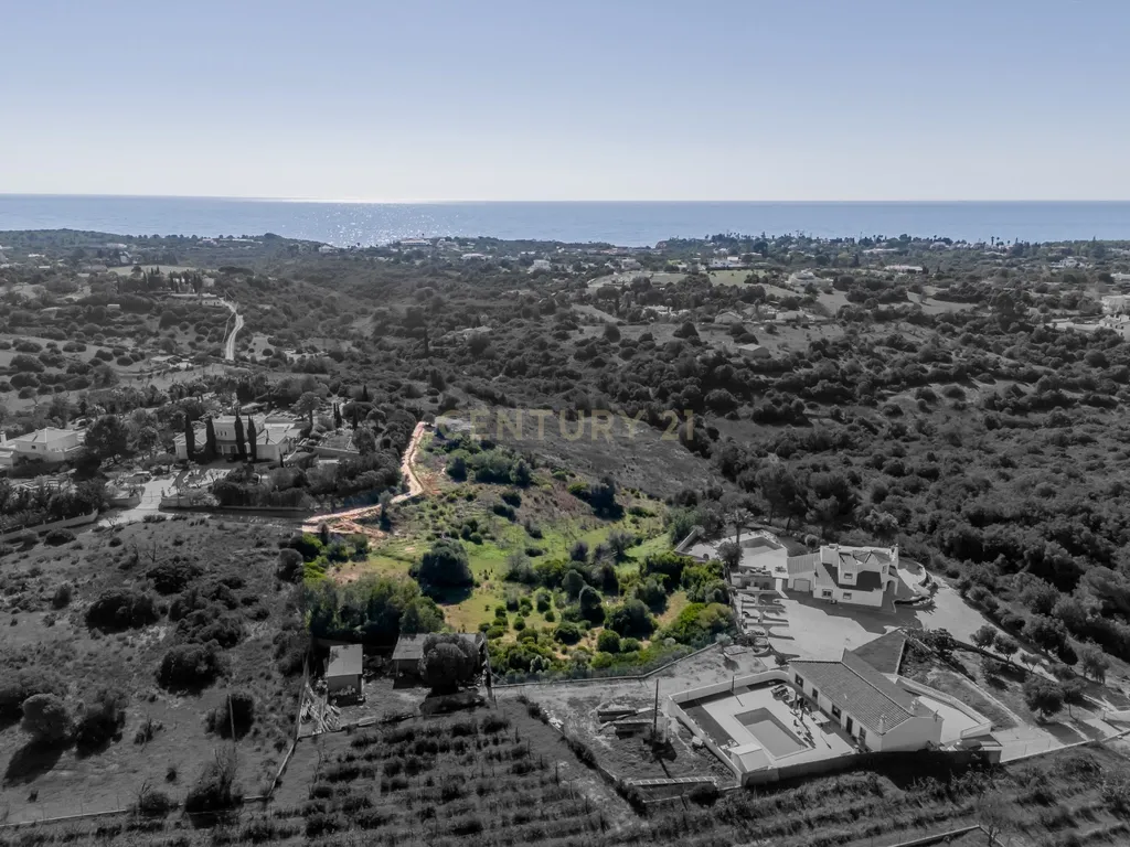 Terreno para agricultura em Vale D'el Rei - Image 1