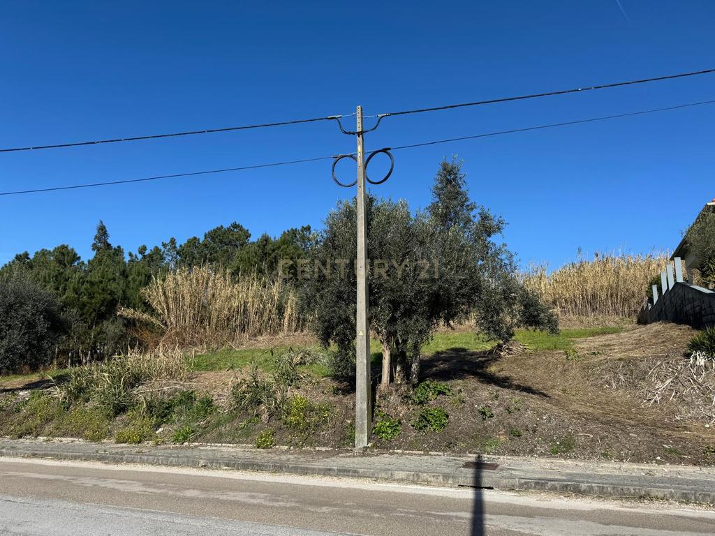 Terreno Urbano || Pombal - Image 19