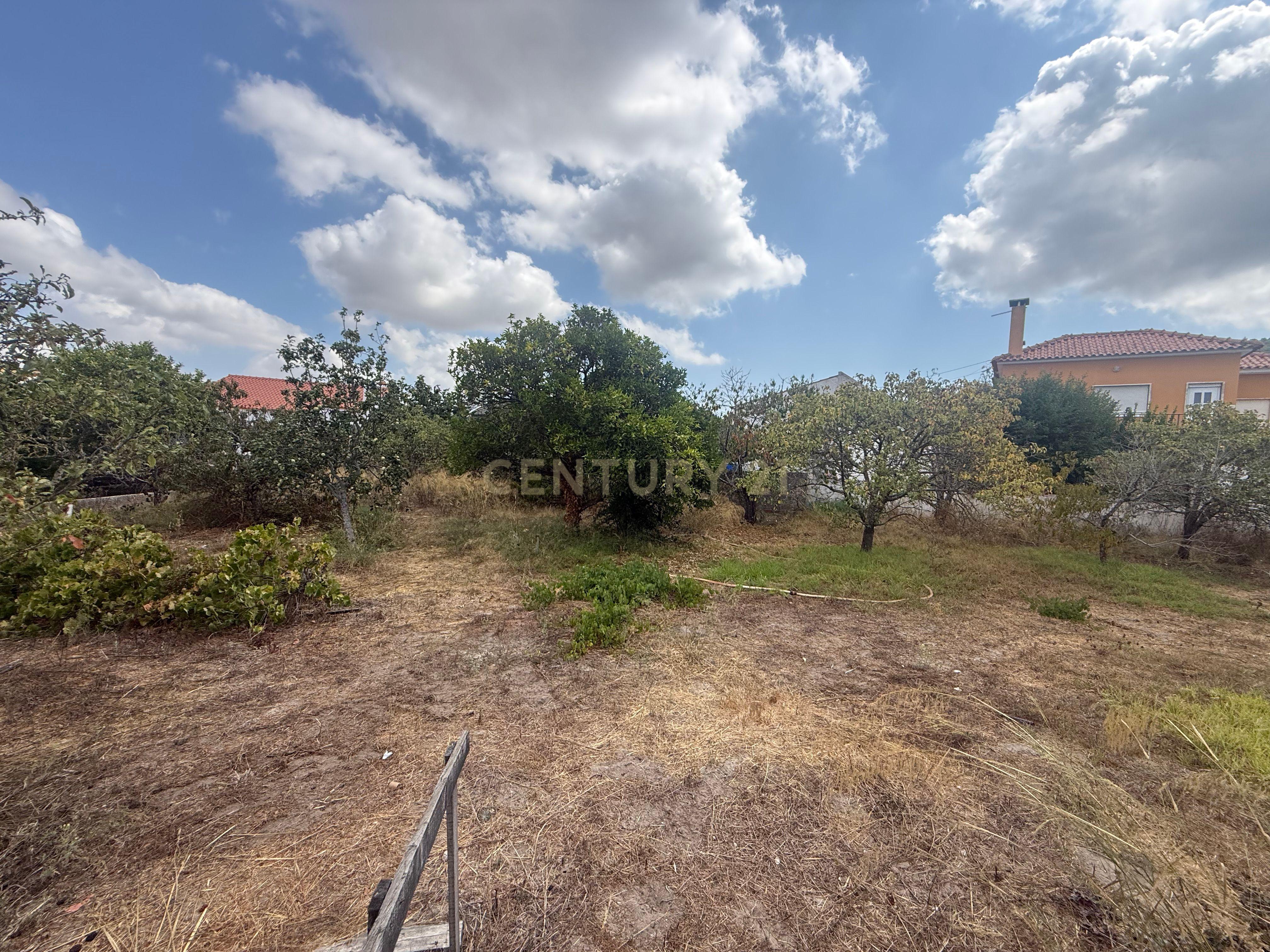 Fotografia 5 de Terreno em Cabanas, quinta do Anjo, Palmela