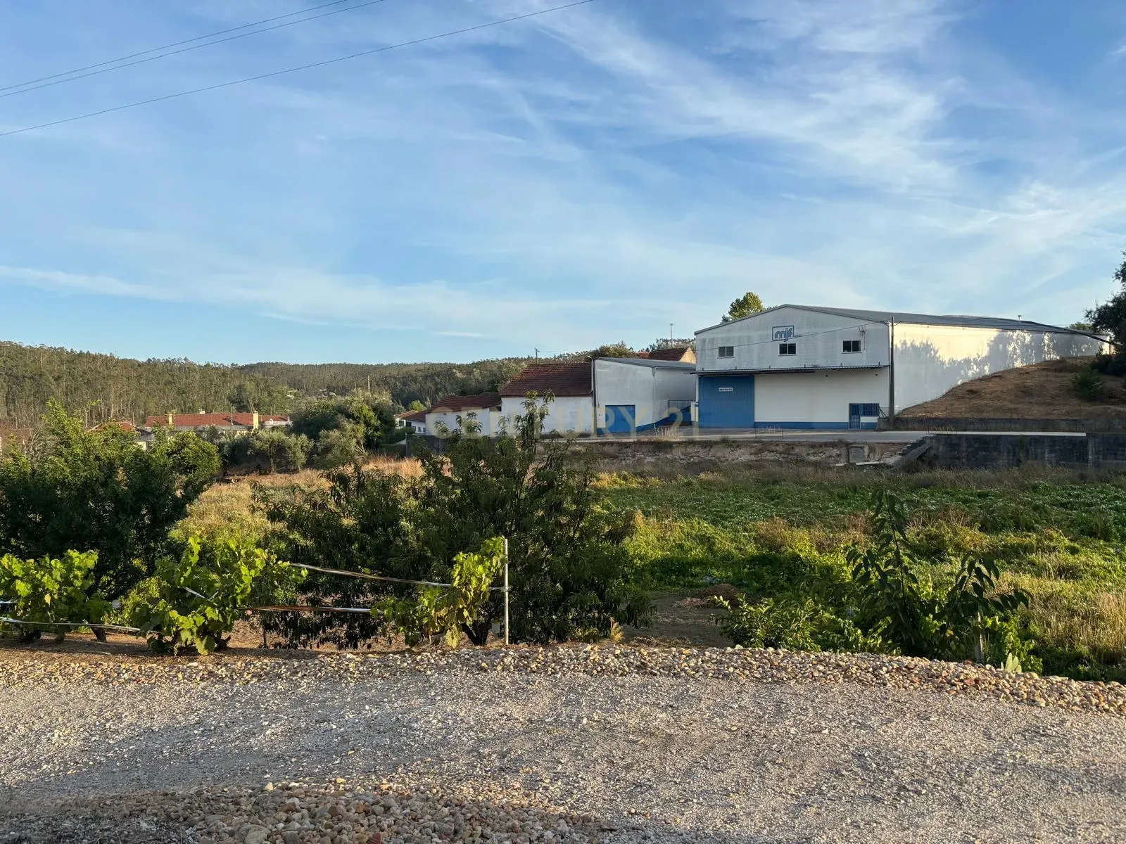 Fotografia 3 de Terreno rústico com viabilidade construtiva em Albergaria dos Doze, Pombal