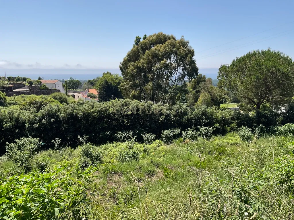 Deslumbrante Terreno com Vista Panorâmica em Cristelo, Caminha - Image 6