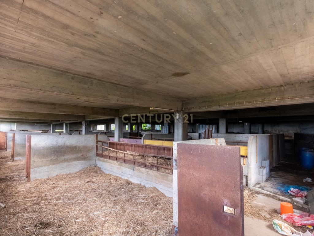 Terreno com Armazém, Moradia e Projeto pré aprovado | Excelente Oportunidade de Investimento - Image 21