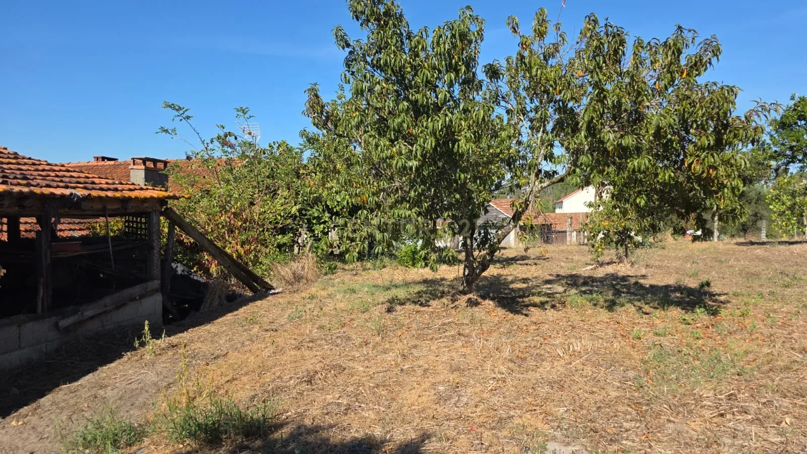 Moradia T2 à venda em Almagreira, Pombal — foto 38