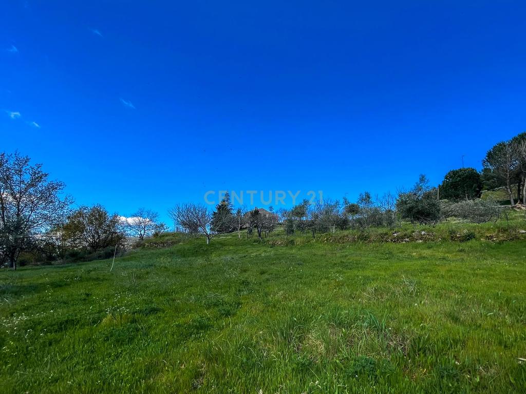 Quinta de Santa Guilha | Tradição, Natureza e Charme em Gouveia - Image 19