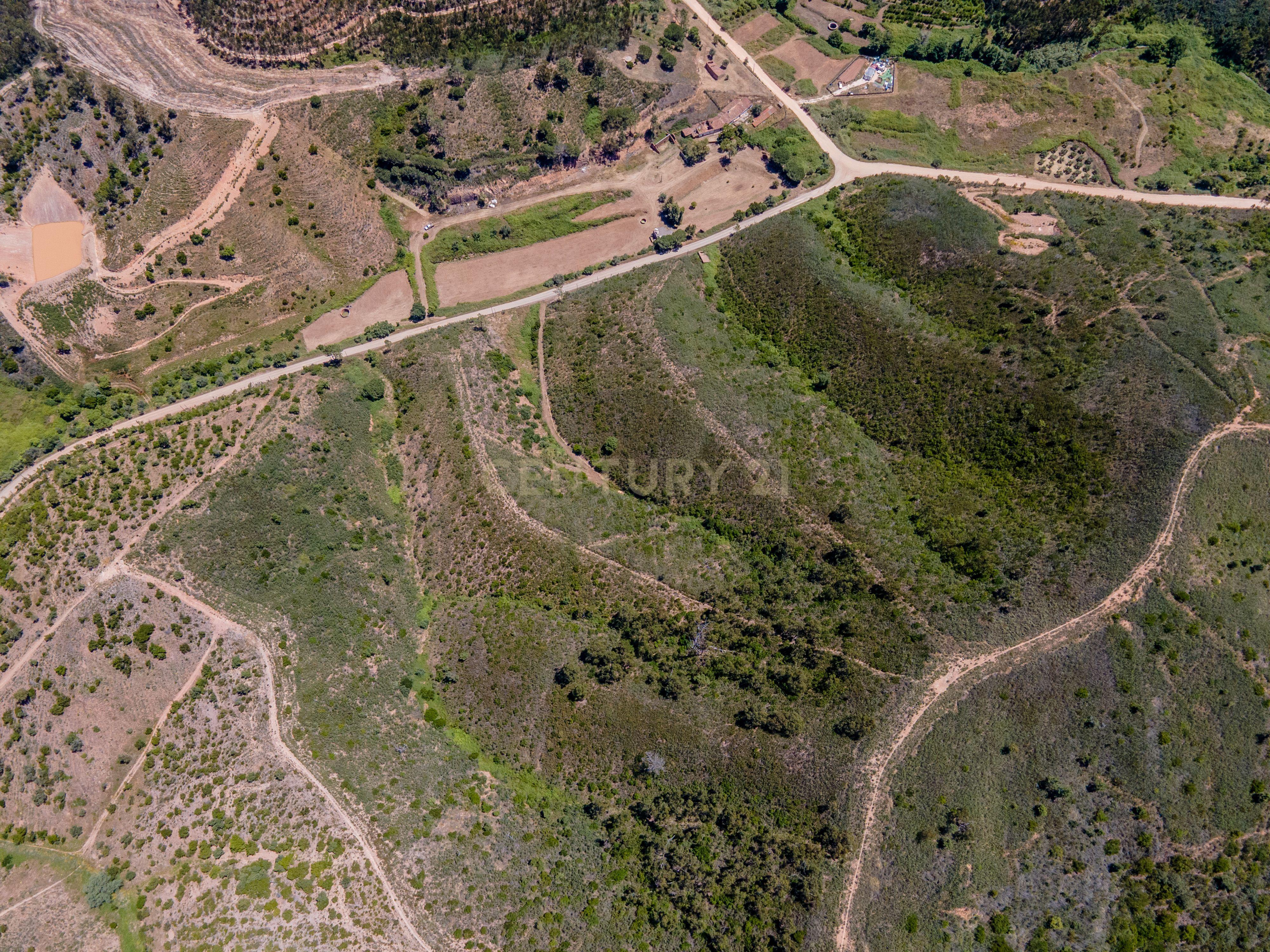 Fotografia 6 de Terreno à venda em Marmelete, Monchique - 90840m²