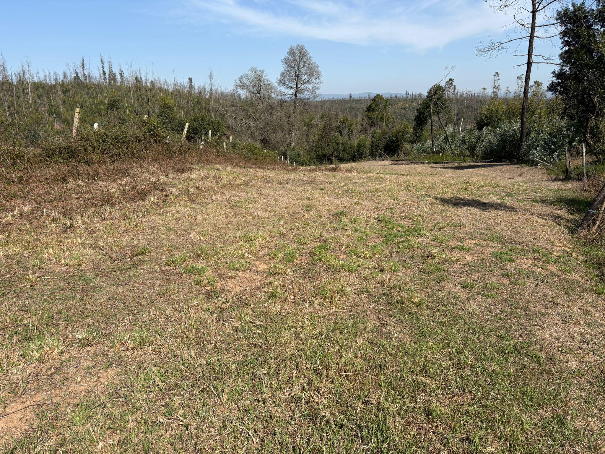 Fotografia 12 de Terreno Urbano em Angeja, Albergaria a Velha