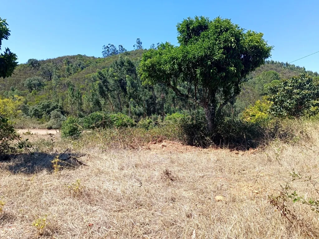 Terreno Misto com 3,66HA - Perna Seca - S. B. Messines - Image 25