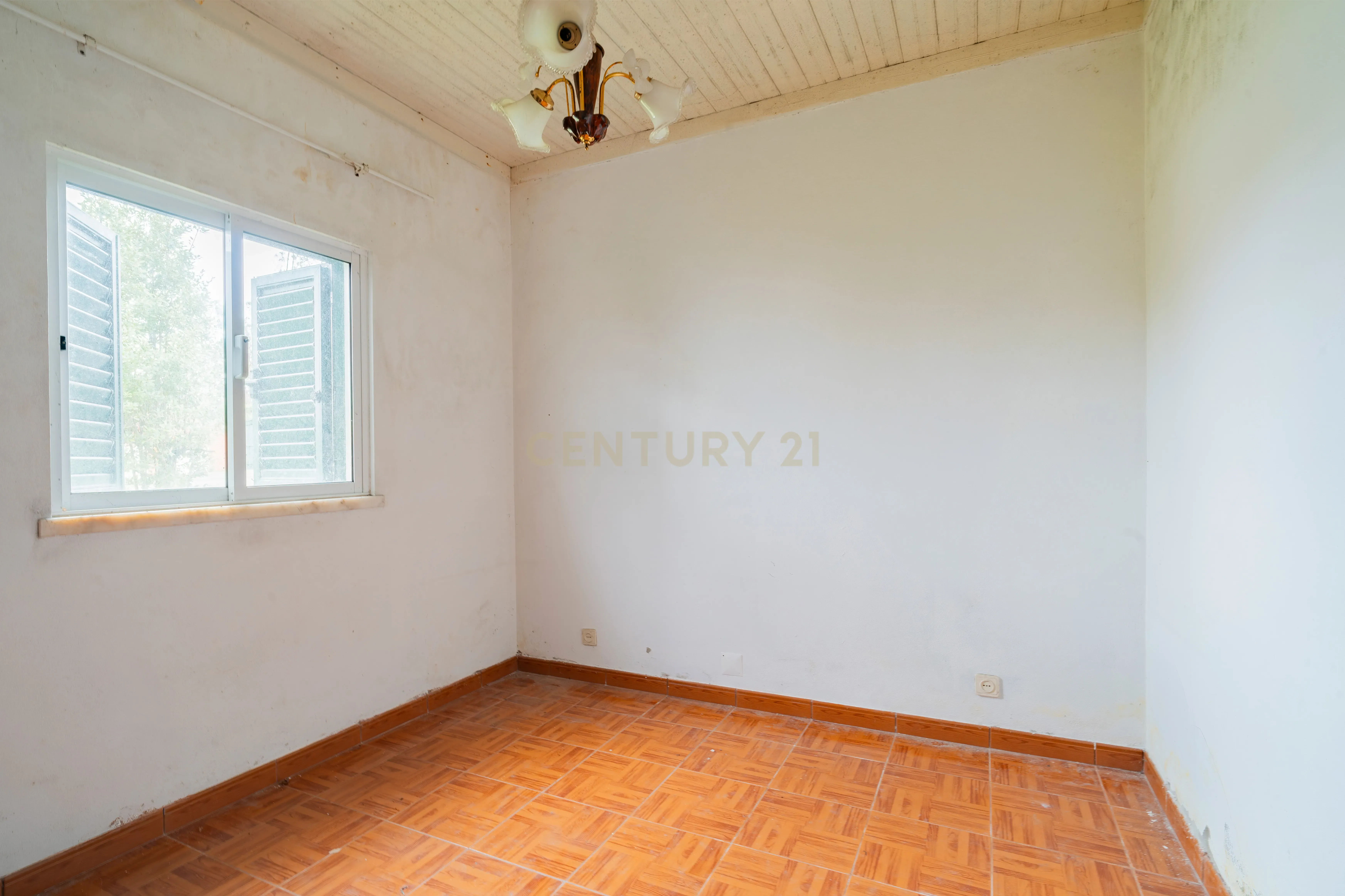 Fotografia 12 de Moradia T4 para remodelação