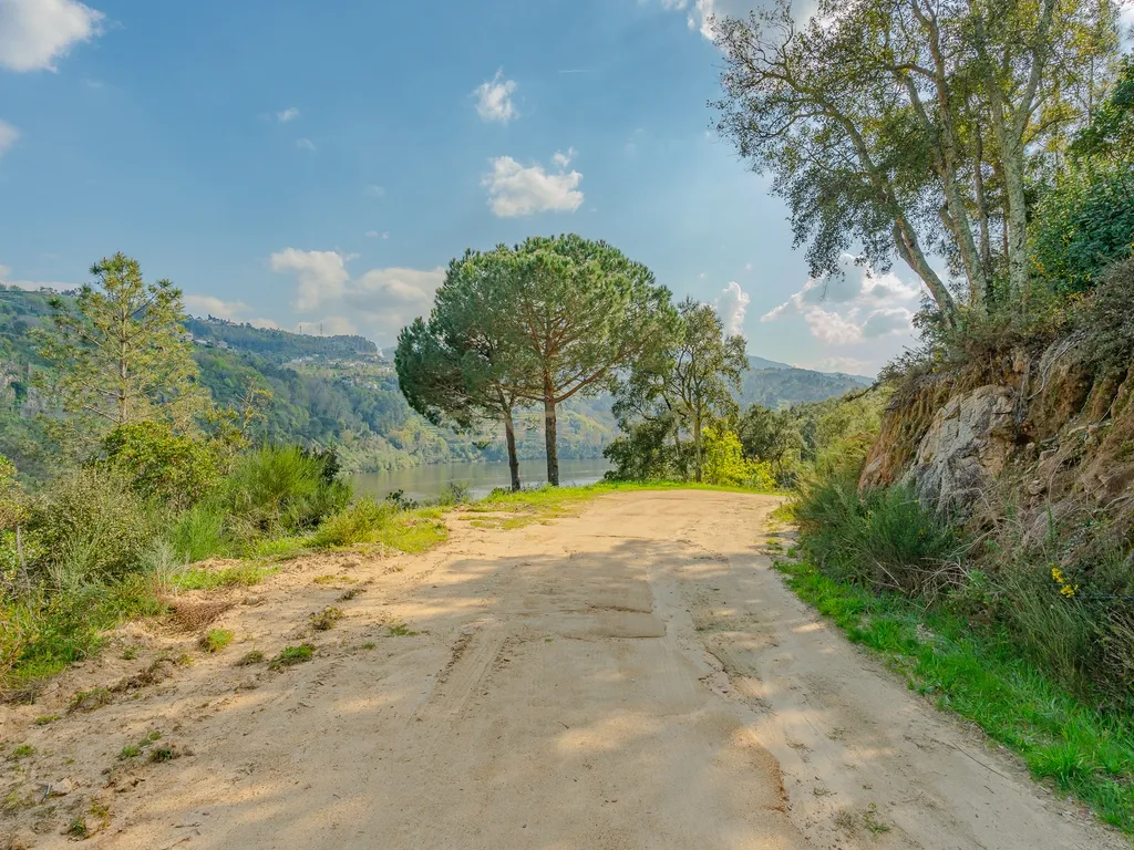 Terreno com magnifica Vista para o Rio Douro em Paços de Gaiolo - Image 10