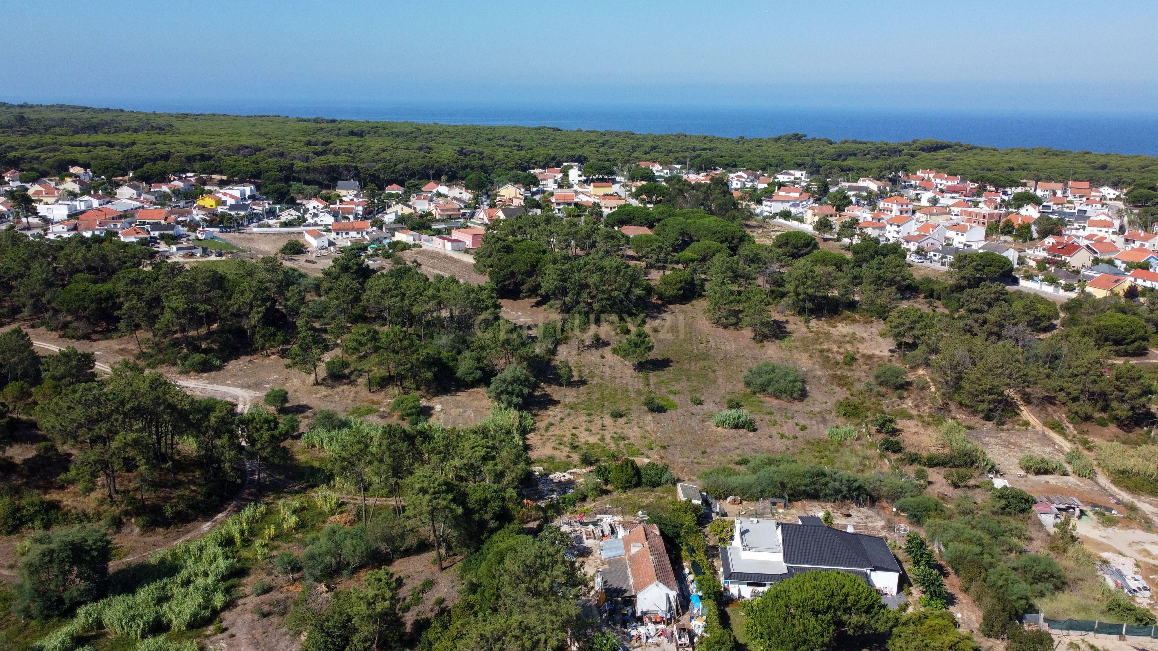 Fotografia 6 de Moradia T1 para remodelação inserida em Terreno com 4.094 m² - Charneca da Caparica