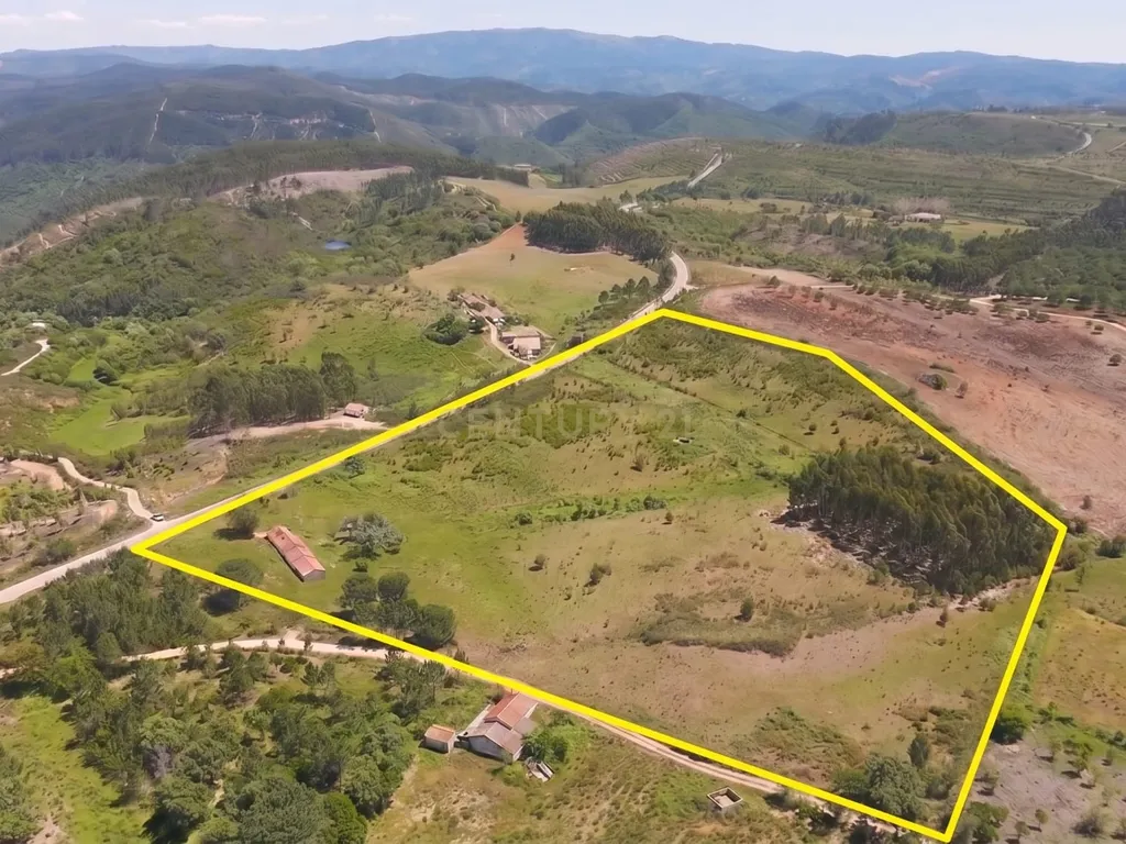 Monte com 6 Hectares e Projeto de Ampliação em São Teotónio - Image 1