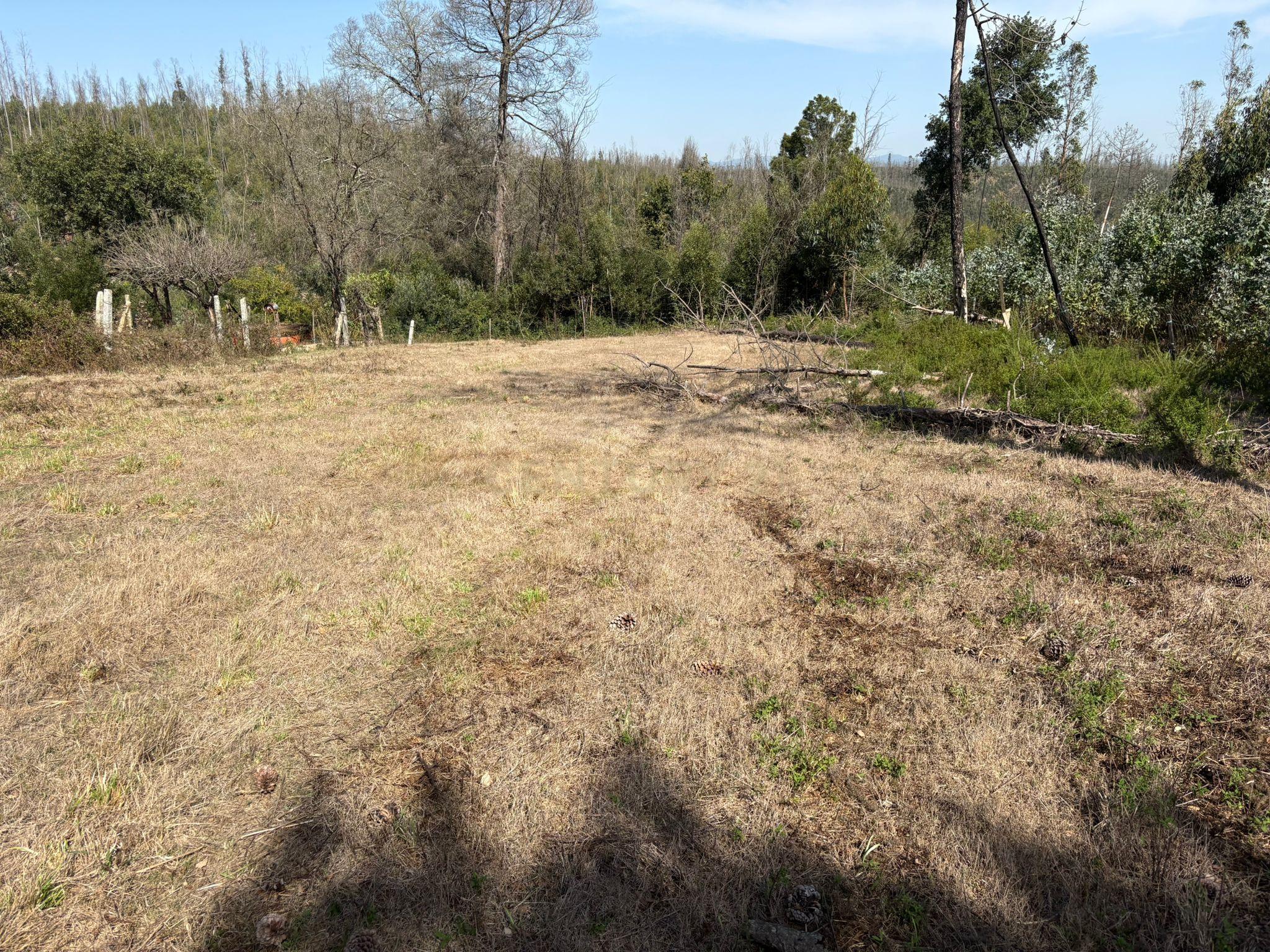 Fotografia 10 de Terreno Urbano em Angeja, Albergaria a Velha