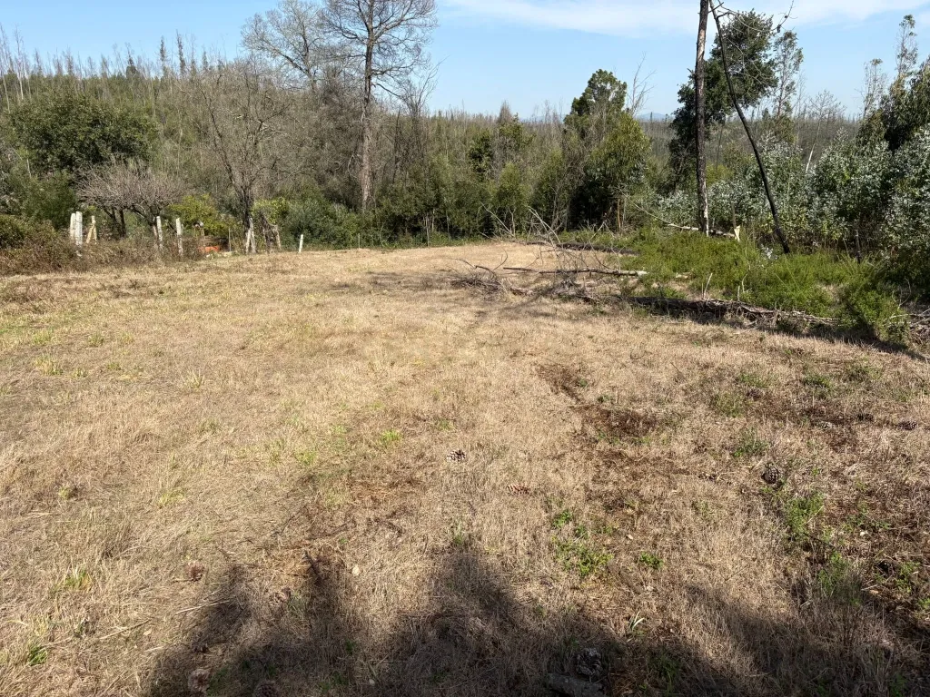 Terreno Urbano em Angeja, Albergaria a Velha - Image 10