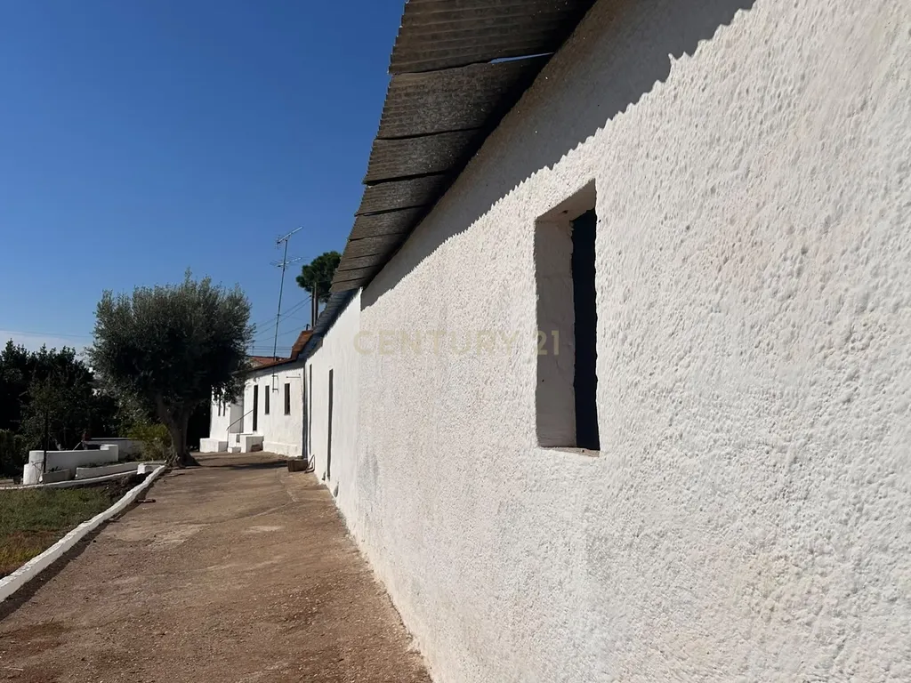 ALBERNOA-BEJA - ALENTEJO- Quinta com 1750 m2. Casa de 229 m2 Cozinha-Sala -3 quartos . Garagem. - Image 44
