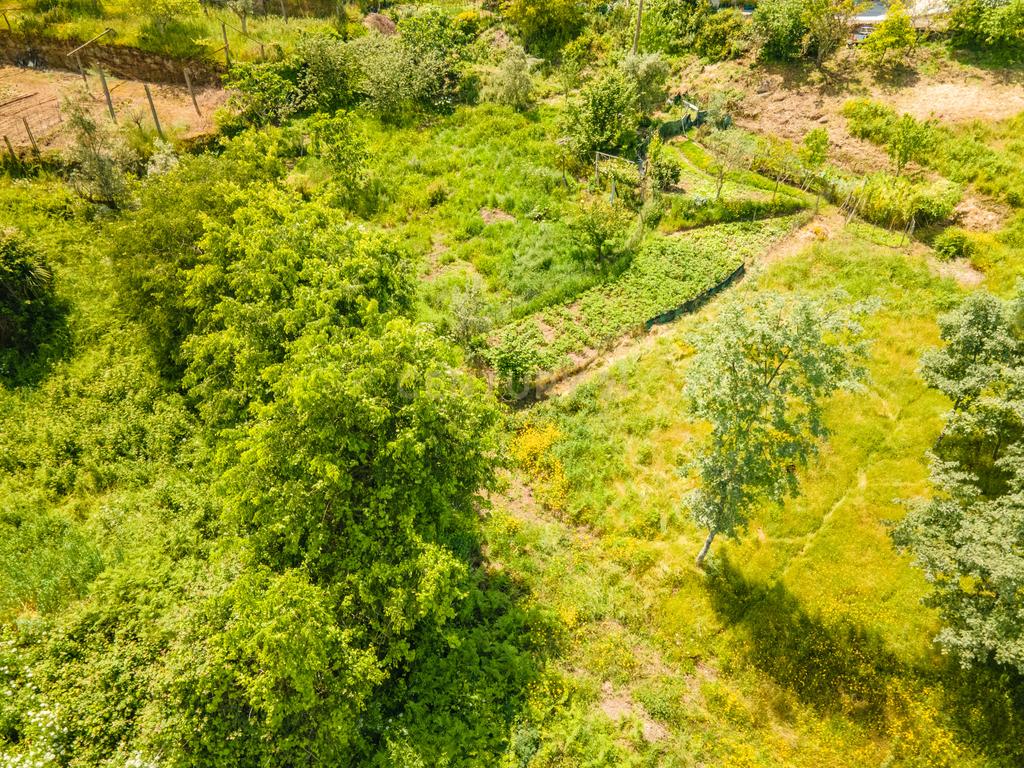 Terrenos para Construção em Marco de Canaveses  - Image 1