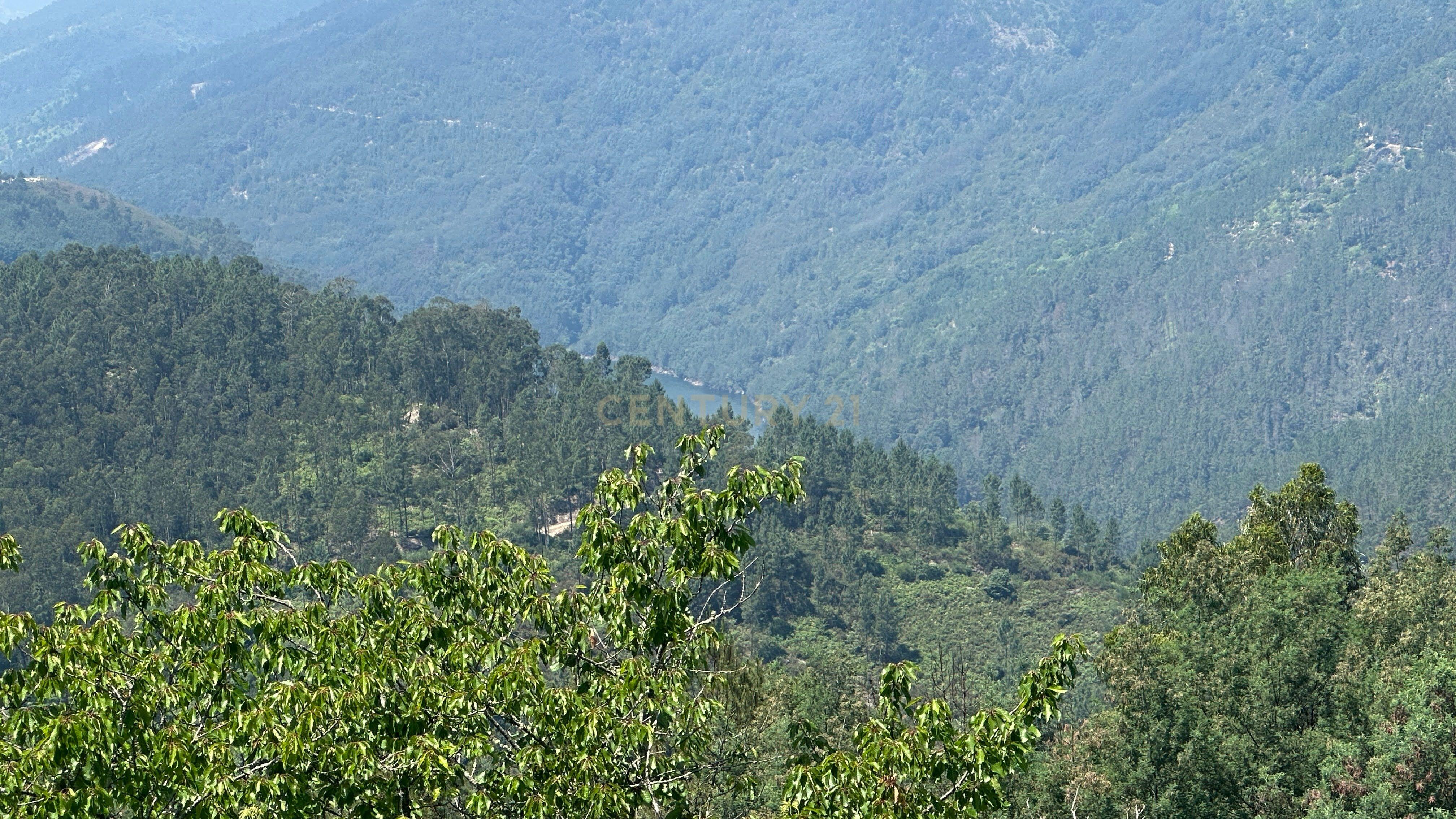 Fotografia 5 de O Refúgio Perfeito no Topo do Gerês: Onde o Silêncio Encontra a Imensidão
