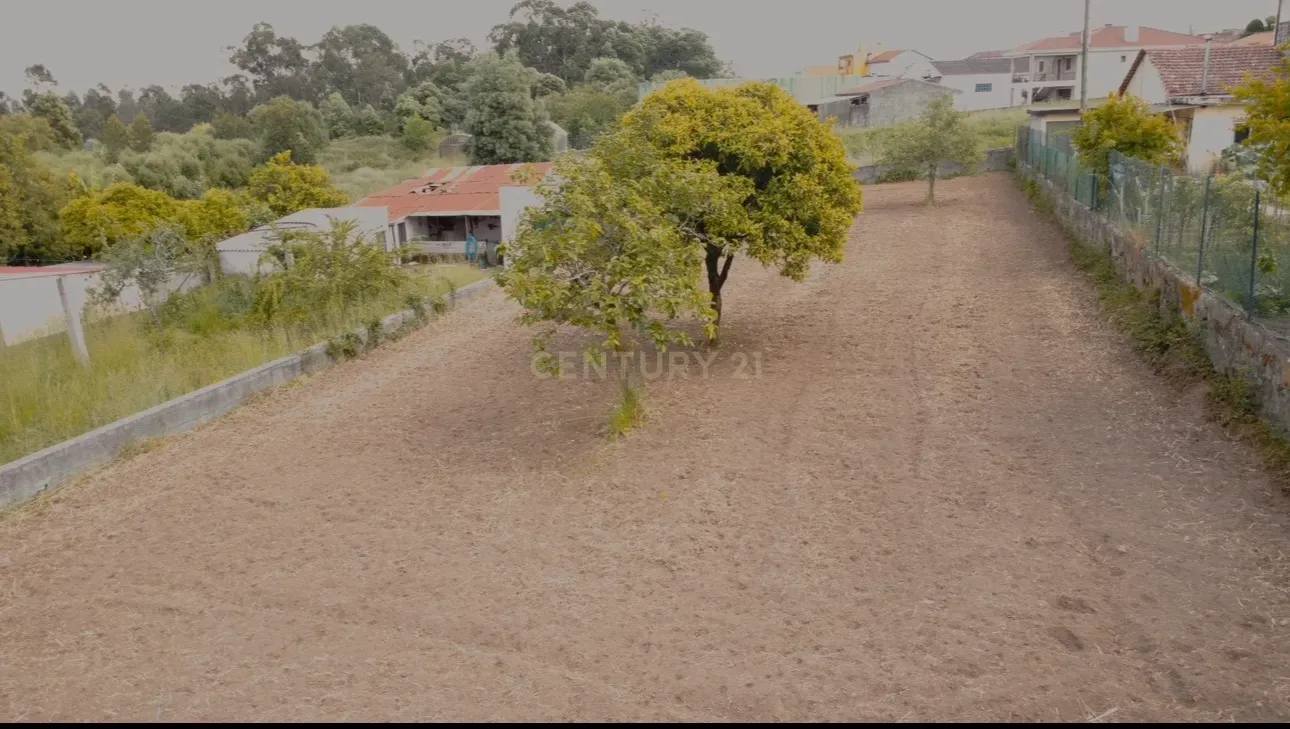 Fotografia 4 de Terreno com potencial de urbanização em São Romão do Coronado