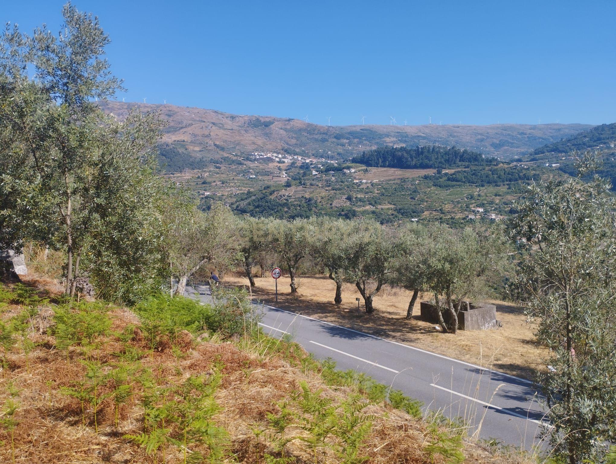 Moradia T2 à venda em Frende, Baião — foto 25