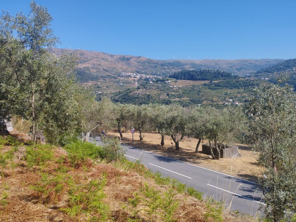 Moradia em ruina repleta de belas histórias, para reconstruir, no coração do Douro em Frende, Baião - Image 25
