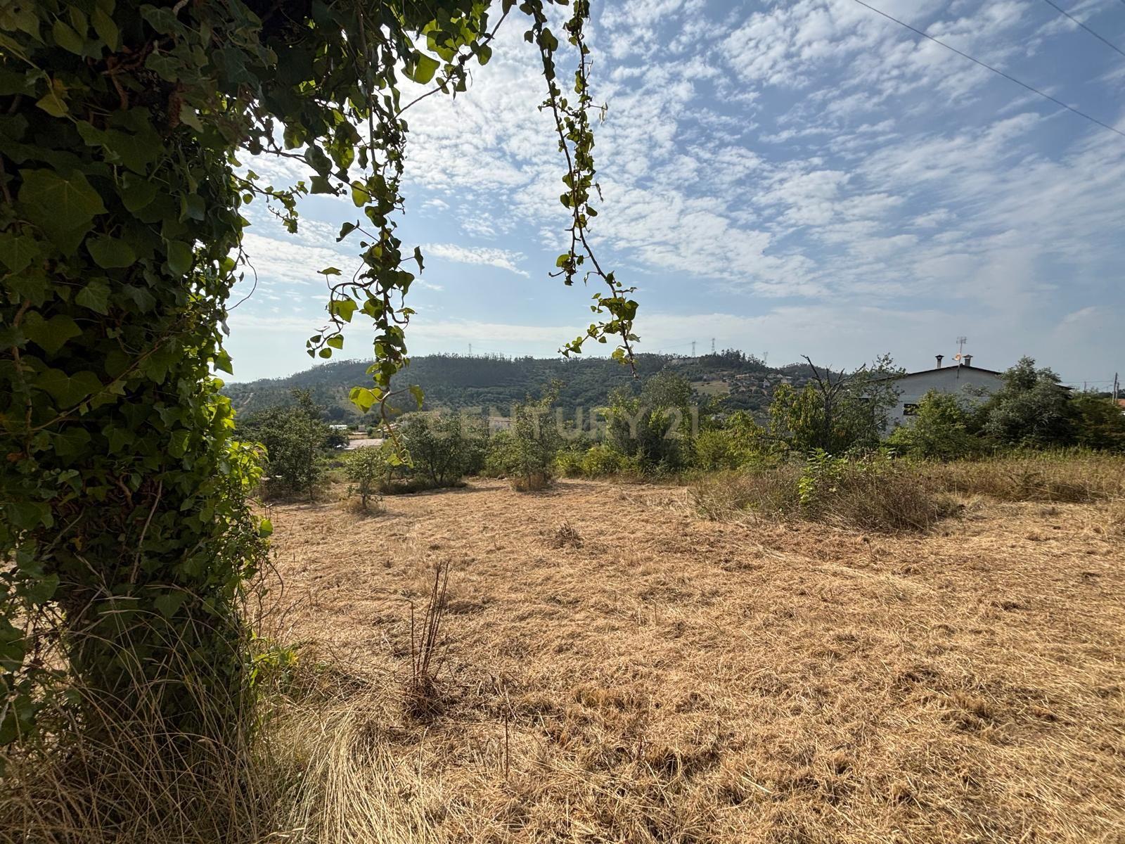 Fotografia 10 de Terreno com viabilidade construtiva em Santiago de Litém - Localização Central e Acessível