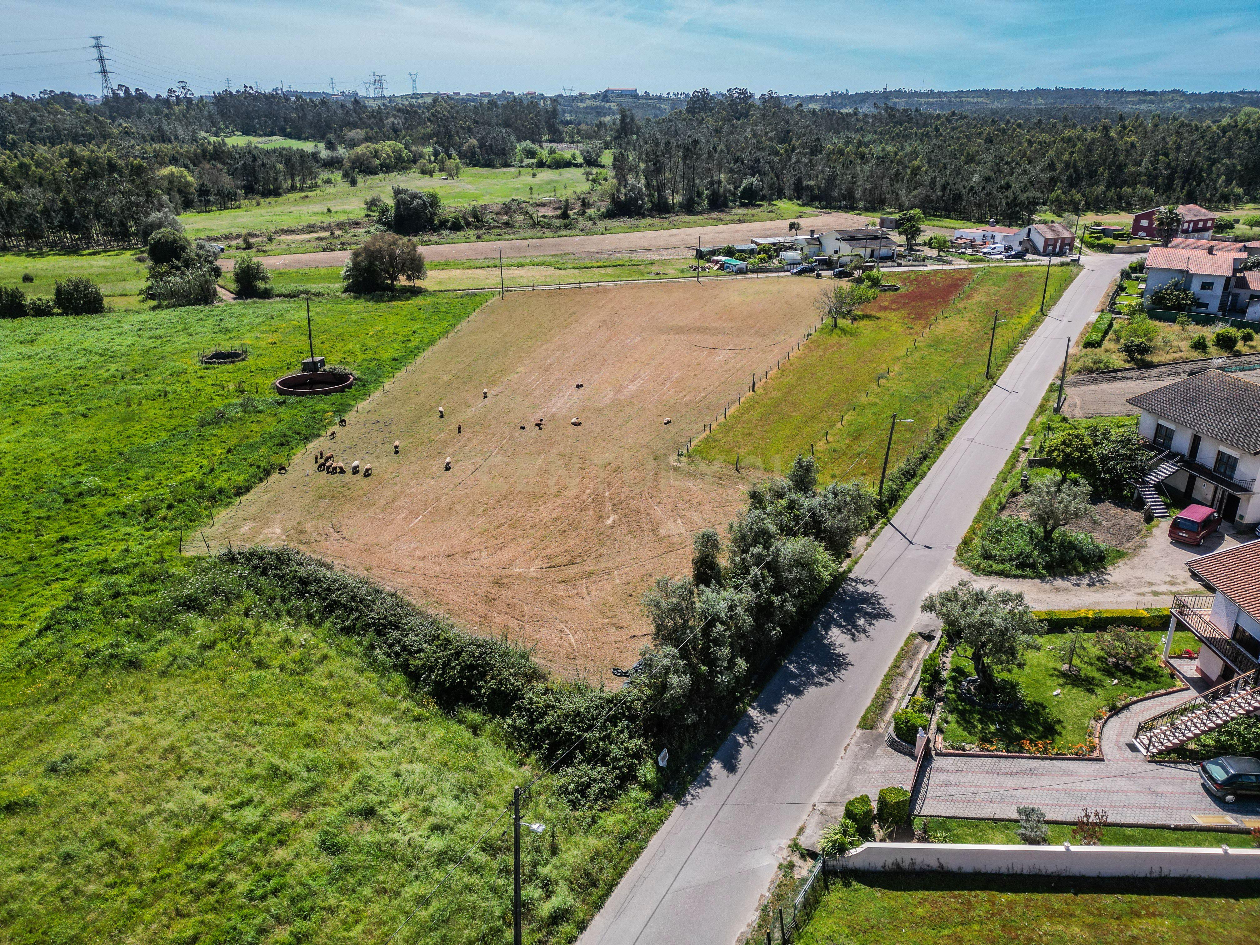 Fotografia 12 de Terreno com viabilidade de construção nas Alhadas, Figueira da Foz