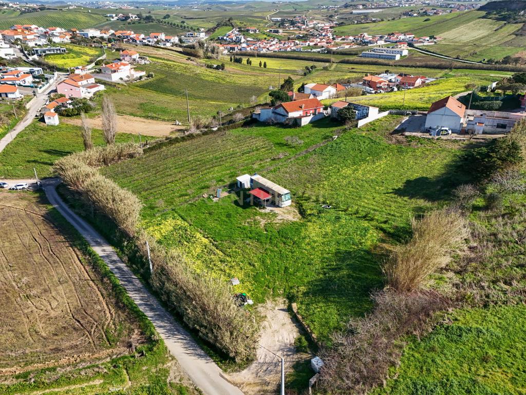 Terreno para Construção - Casal da Serpegeira, Ventosa (Torres Vedras) - Image 10