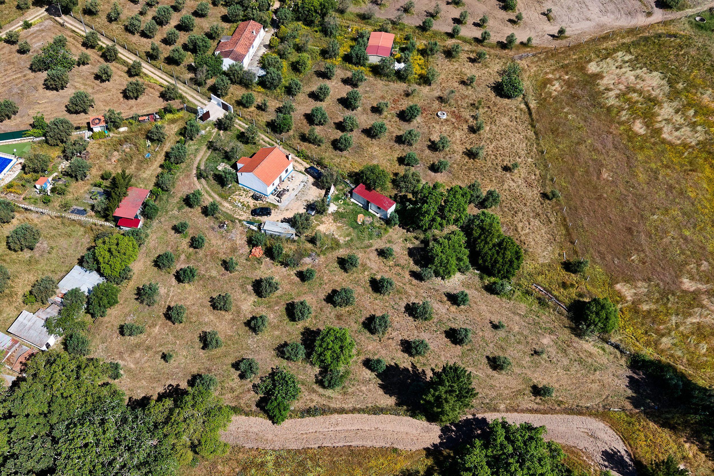 Viva o autêntico Alentejo – Seu refúgio em Ermidas do Sado - Cova do Gato espera por si - Image 31