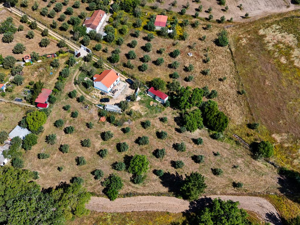 Viva o autêntico Alentejo – Seu refúgio em Ermidas do Sado - Cova do Gato espera por si - Image 31