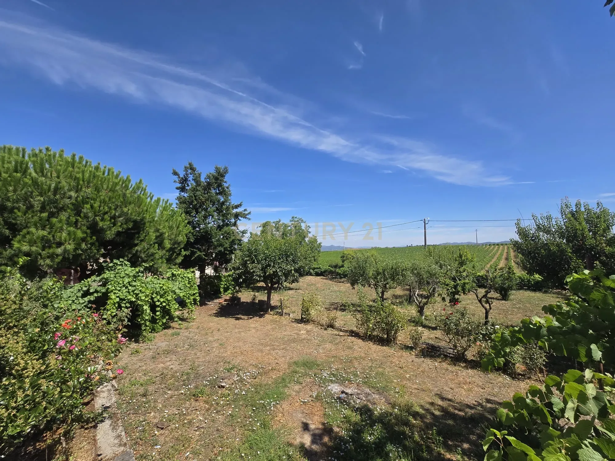 Fotografia 2 de Quinta Típica em São João da Pesqueira com Vista Panorâmica