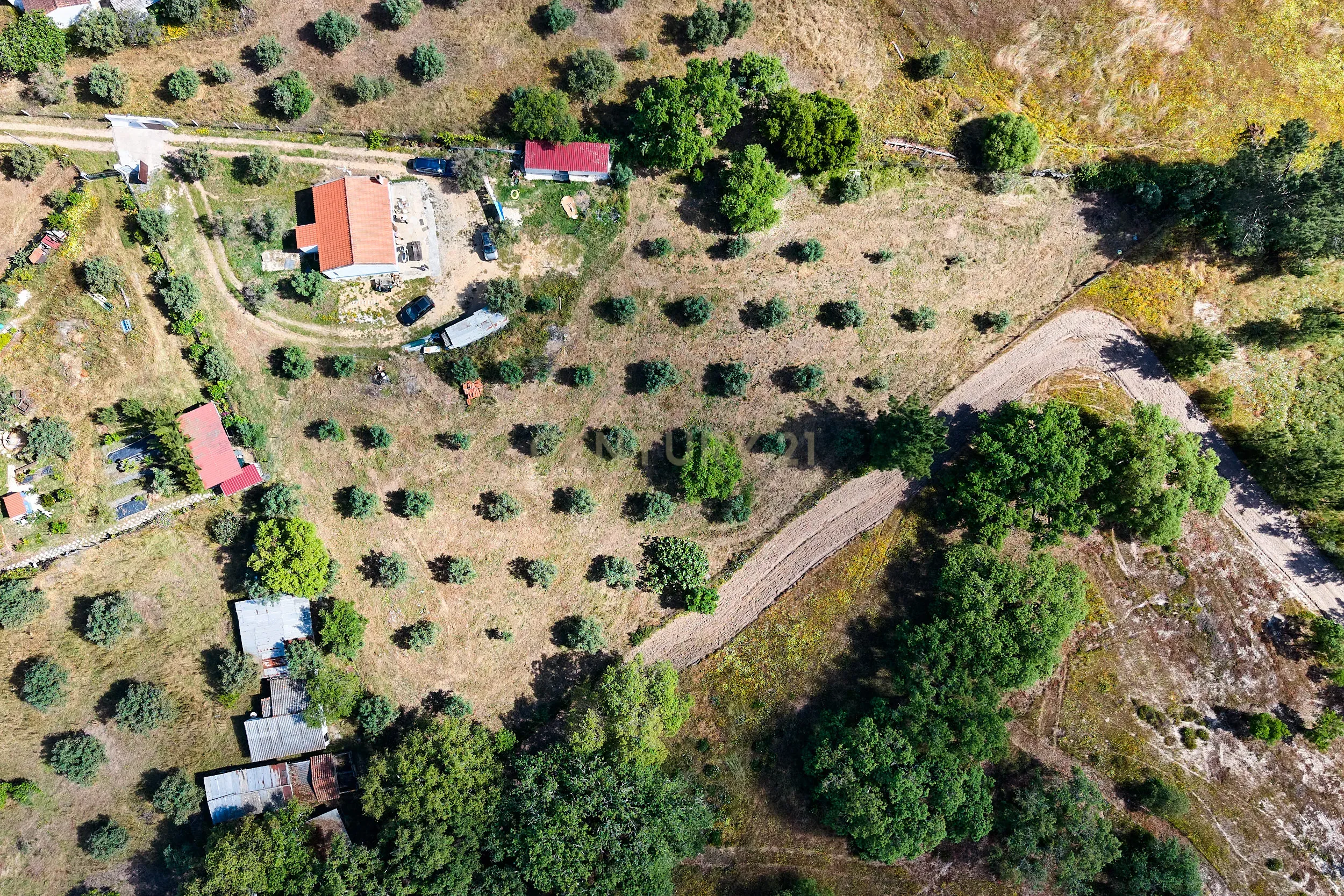 Viva o autêntico Alentejo – Seu refúgio em Ermidas do Sado - Cova do Gato espera por si - Image 35