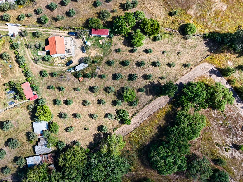 Viva o autêntico Alentejo – Seu refúgio em Ermidas do Sado - Cova do Gato espera por si - Image 35