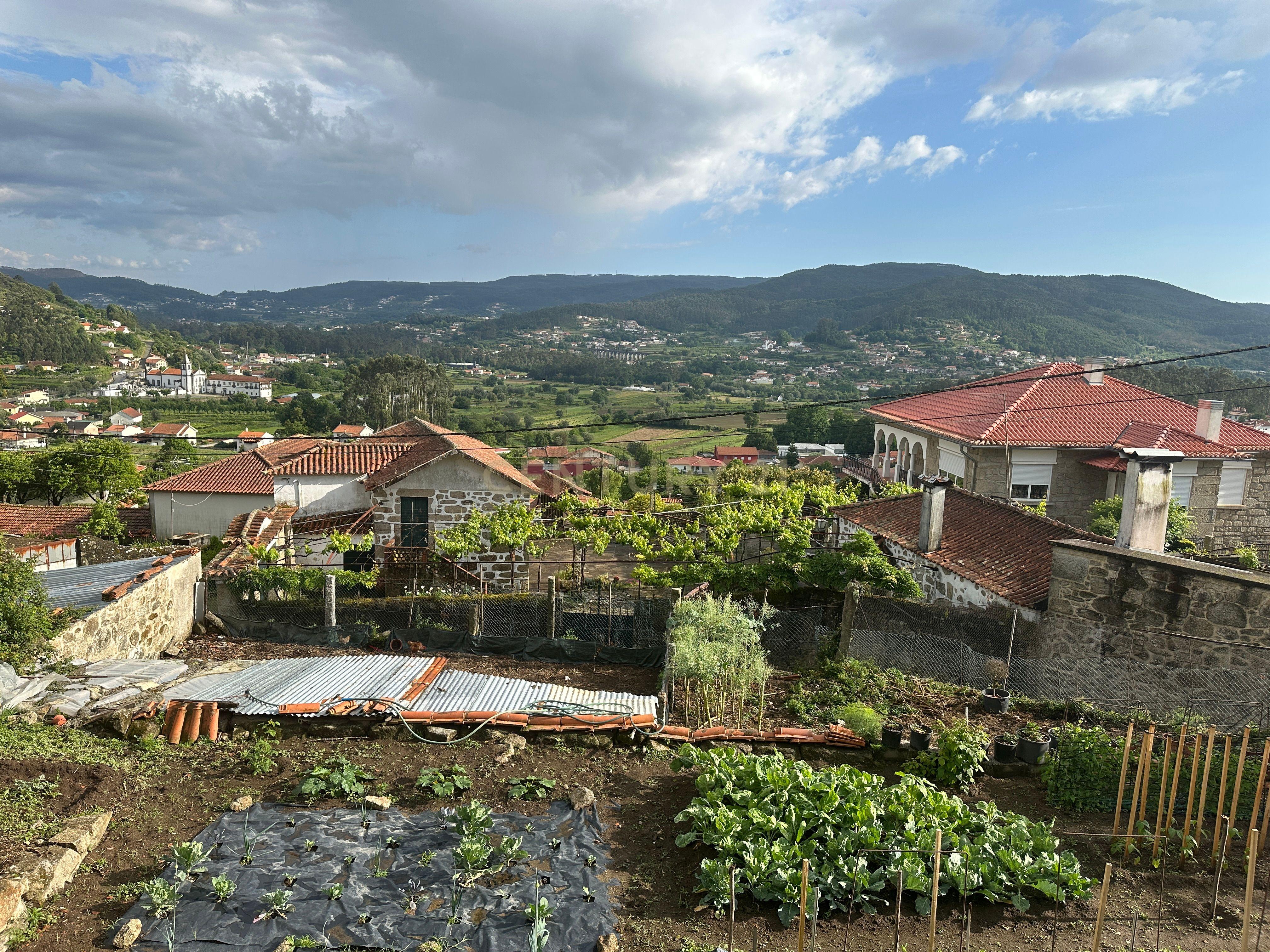 Fotografia 9 de Terreno de Sonho em Carvoeiro, Viana do Castelo Perto da Praia