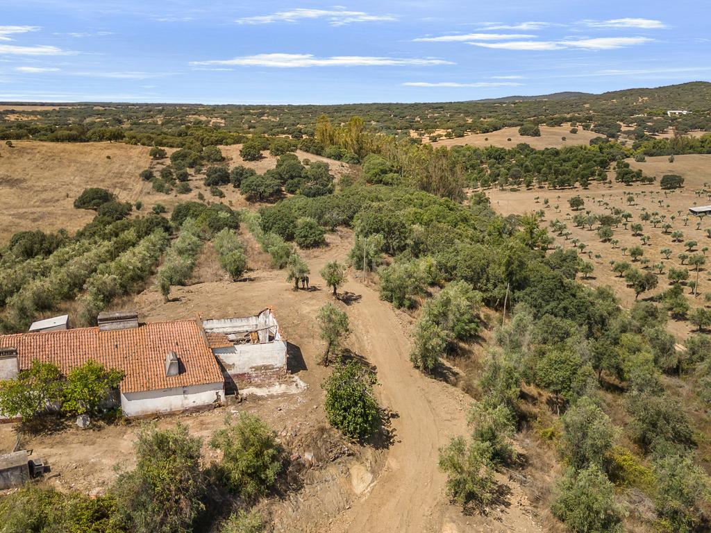 HERDADE COM 5,9 HECTARES, MORADIA E CAVALARIÇA | SANTIAGO DO ESCOURAL - Image 8