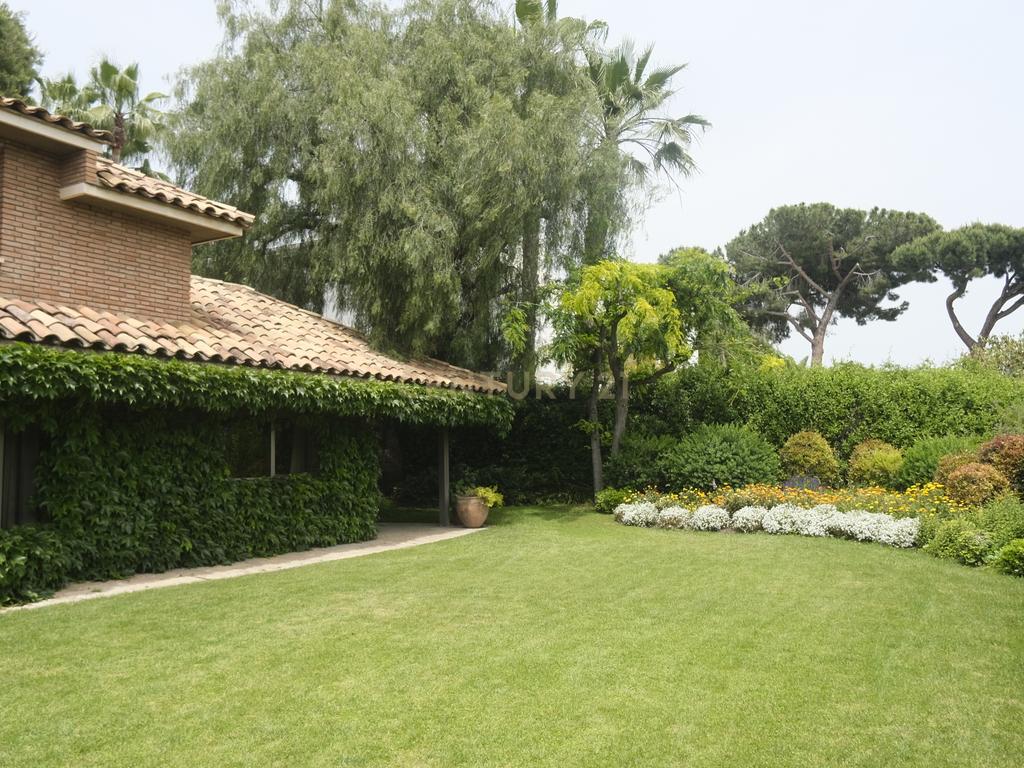  - Image 22