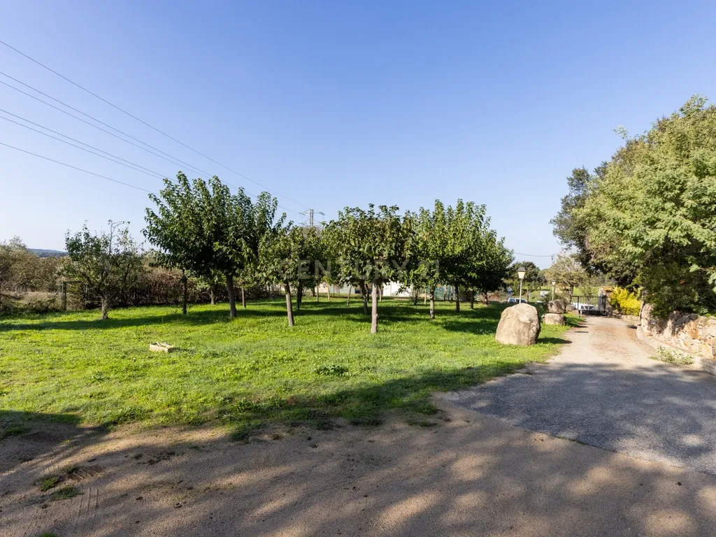 MASIA CATALANA EN VENDA A LLAGOSTERA – MÉS DE 7 HECTÀREES DE TERRENY, LLICÈNCIA TURÍSTICA, PISCINA I CAMP DE FUTBOL - Image 6