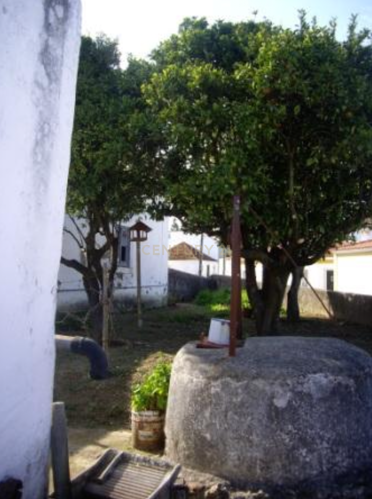 Fotografia 10 de Ruína com Potencial em Moçarria, Santarém