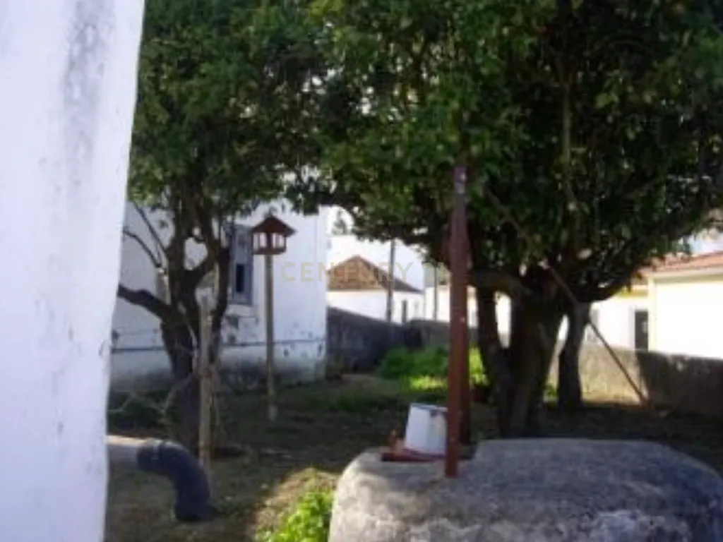 Ruína com Potencial em Moçarria, Santarém - Image 10