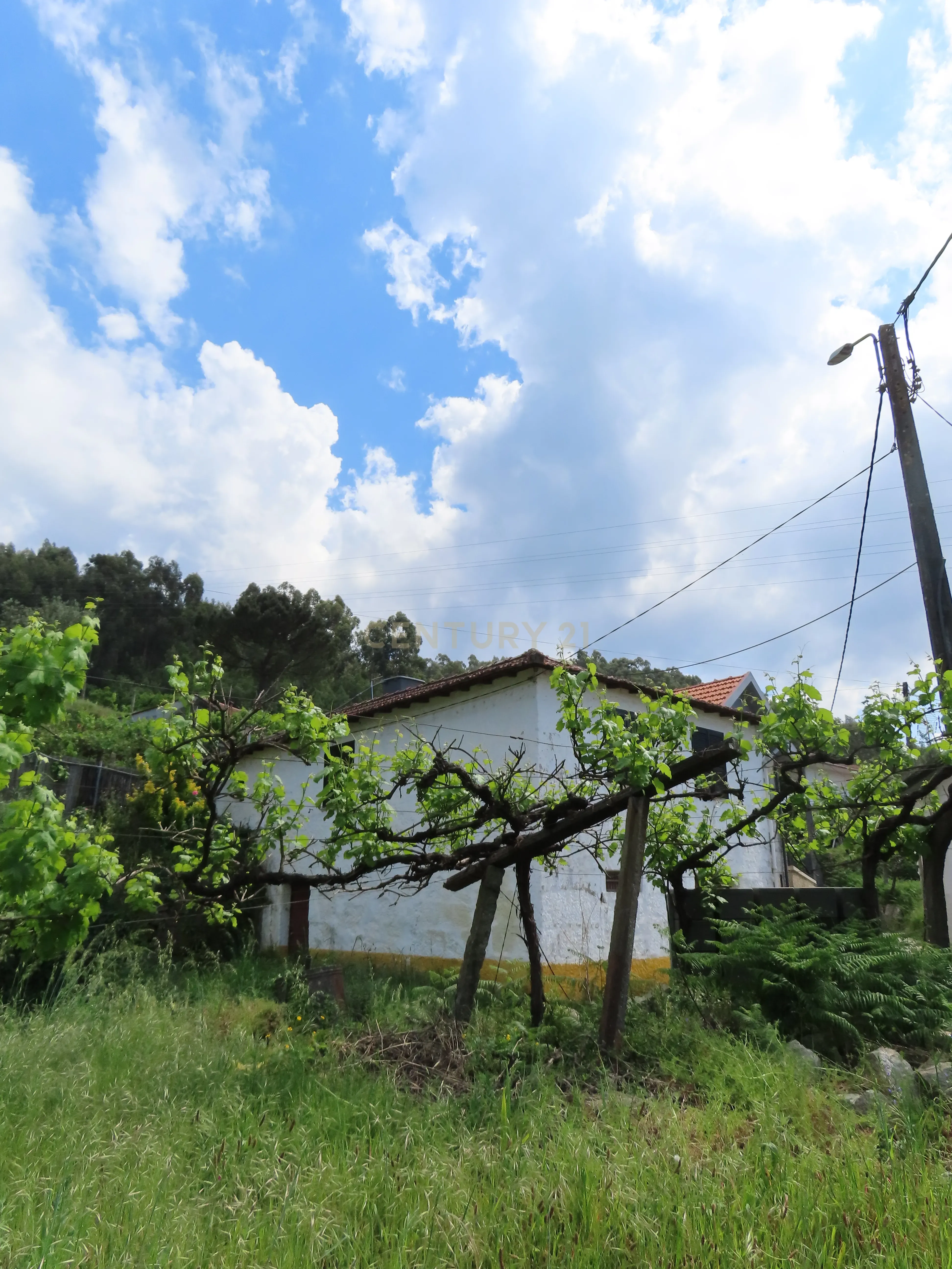 Fotografia 6 de Moradia T2 em Travanca, Cinfães – Ideal para Habitação ou Férias