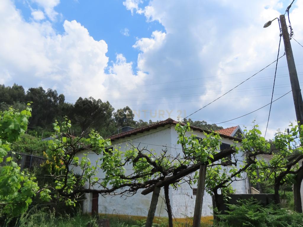 Moradia T2 em Travanca, Cinfães – Ideal para Habitação ou Férias - Image 6