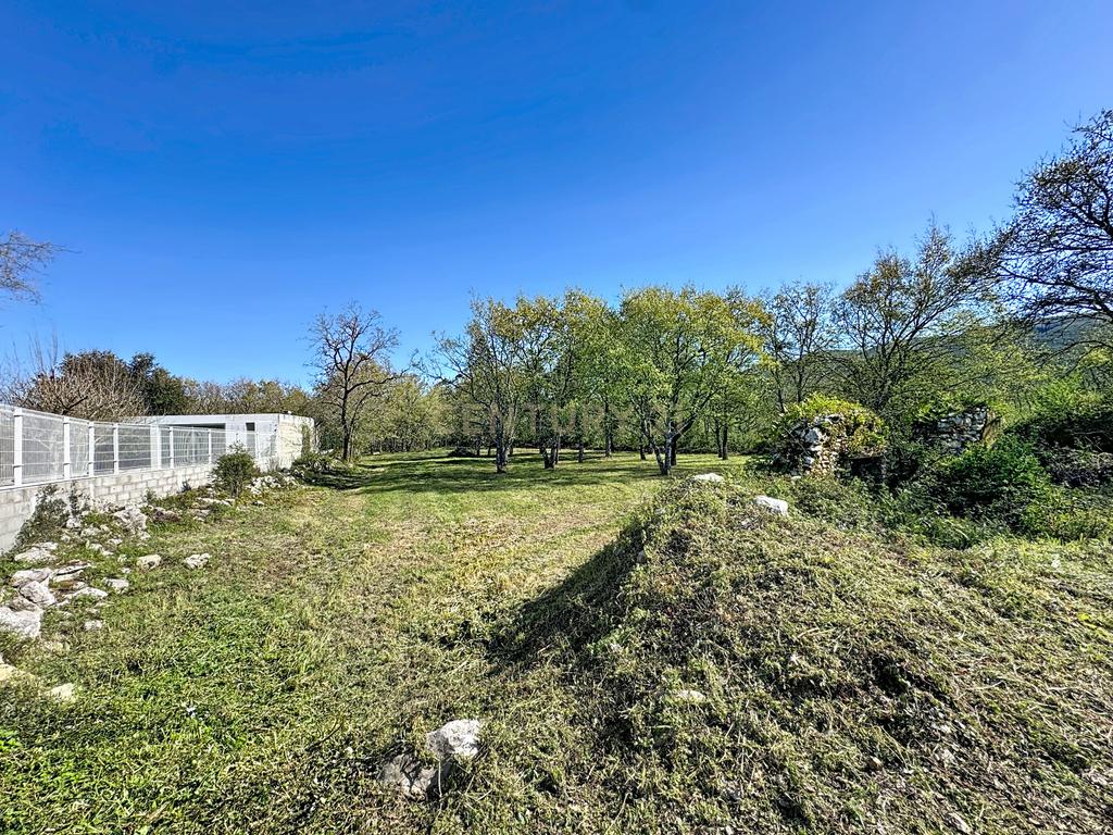O lugar ideal para construir em plena natureza – Alcobaça - Image 13