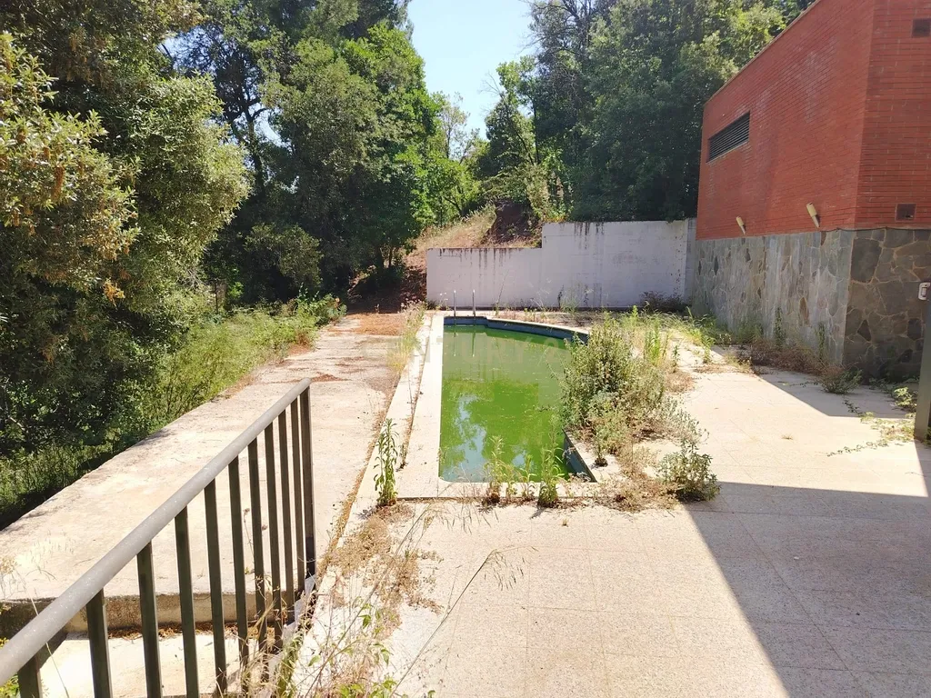 - Image 30