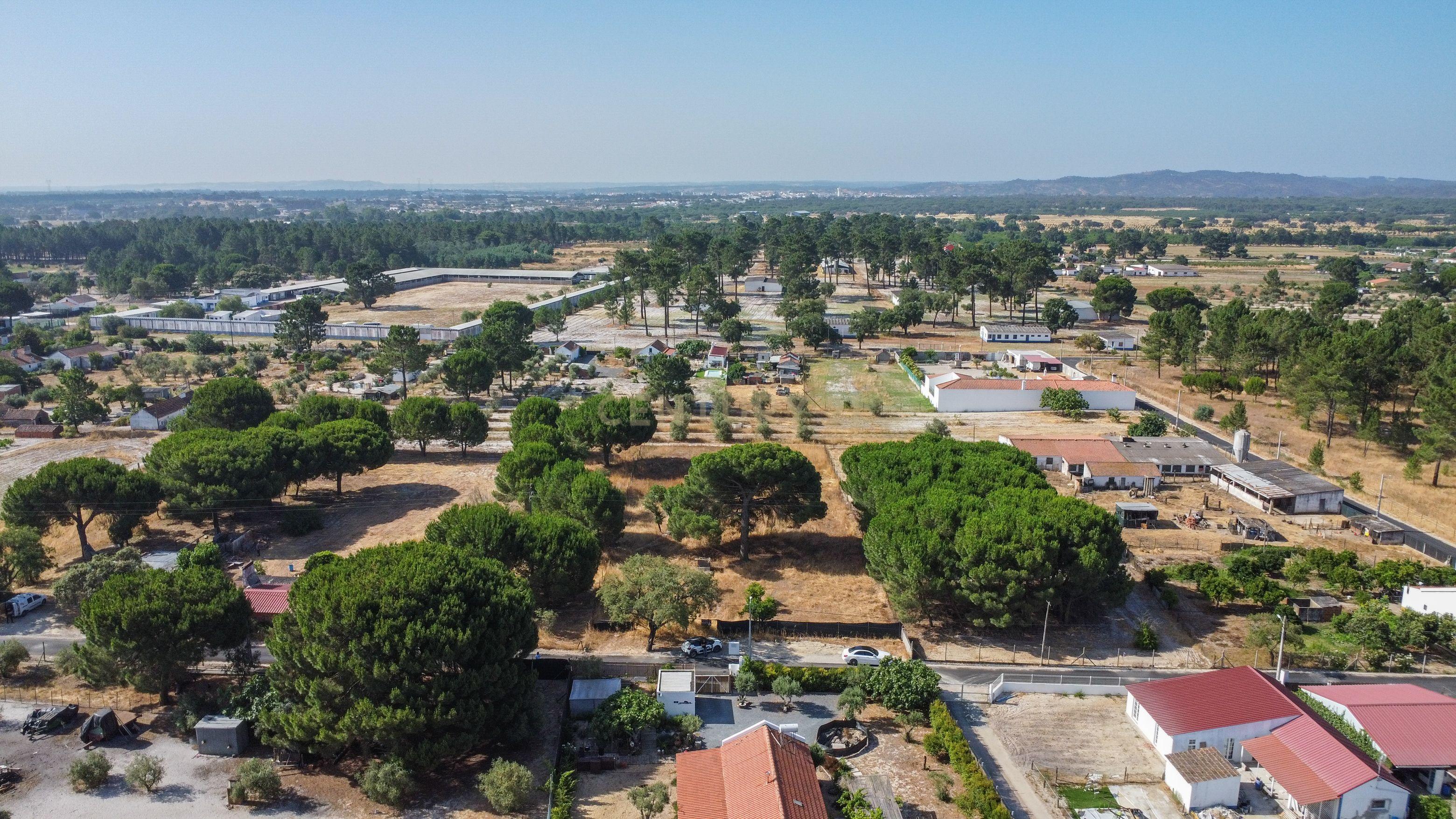 Fotografia 9 de Terreno rústico com 2.600 m² - Vale Gamito, Quinta do Amaro, Grândola