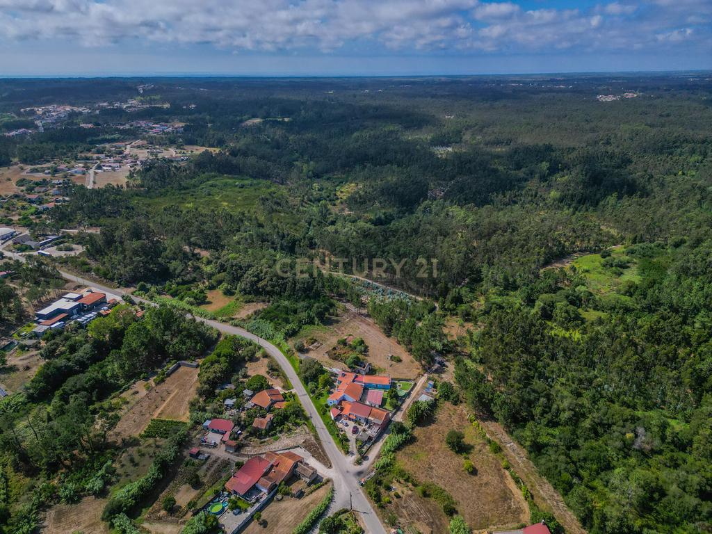 Propriedade com duas casas para reabilitar, terreno e poço na Costeira – Figueira da Foz - Image 5