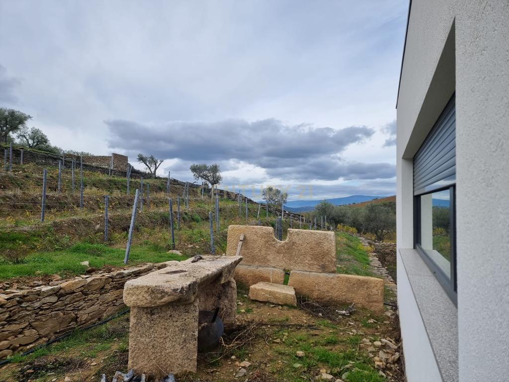 🏡Quinta com Moradia T3 e Vinha no Coração do Alto Douro Vinhateiro – Património Mundial da UNESCO - Image 40
