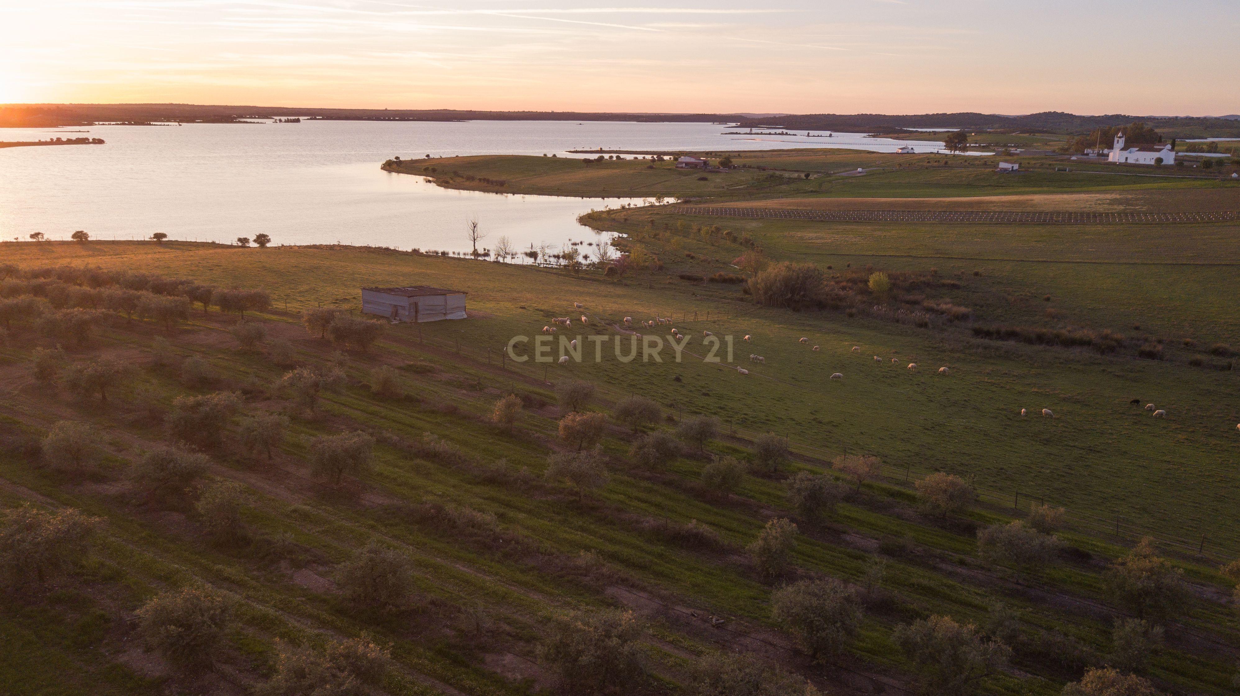 Fotografia 10 de Terreno Rústico com Vista Privilegiada para o Alqueva - Luz, Alentejo