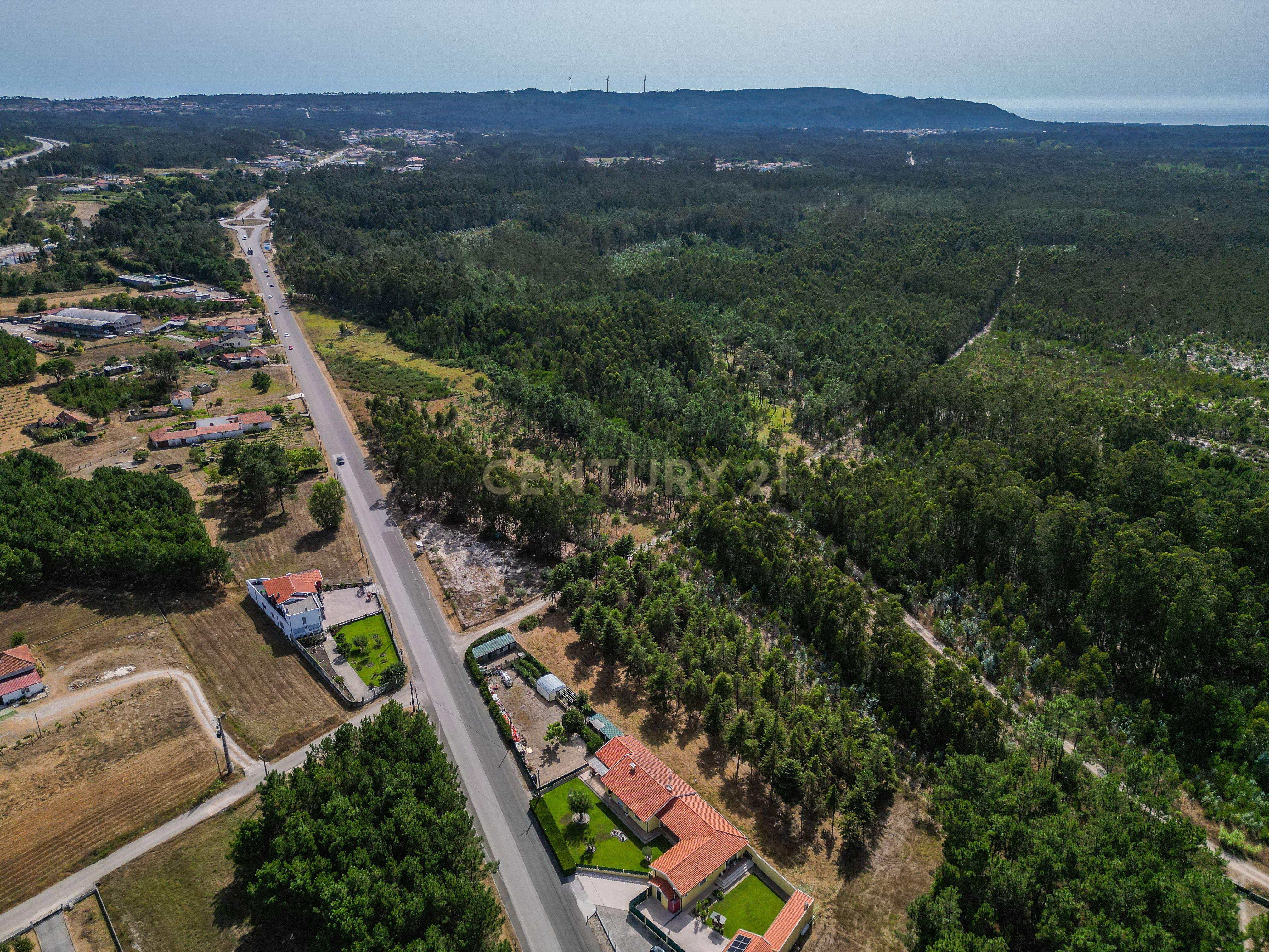 Fotografia 7 de Terreno com cerca de 3.300 m² em zona de pinhal, em Casal Novo, Quiaios – Figueira da Foz