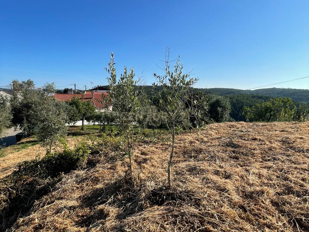Terreno em Carreira Mato, Aldeia do mato - Image 4