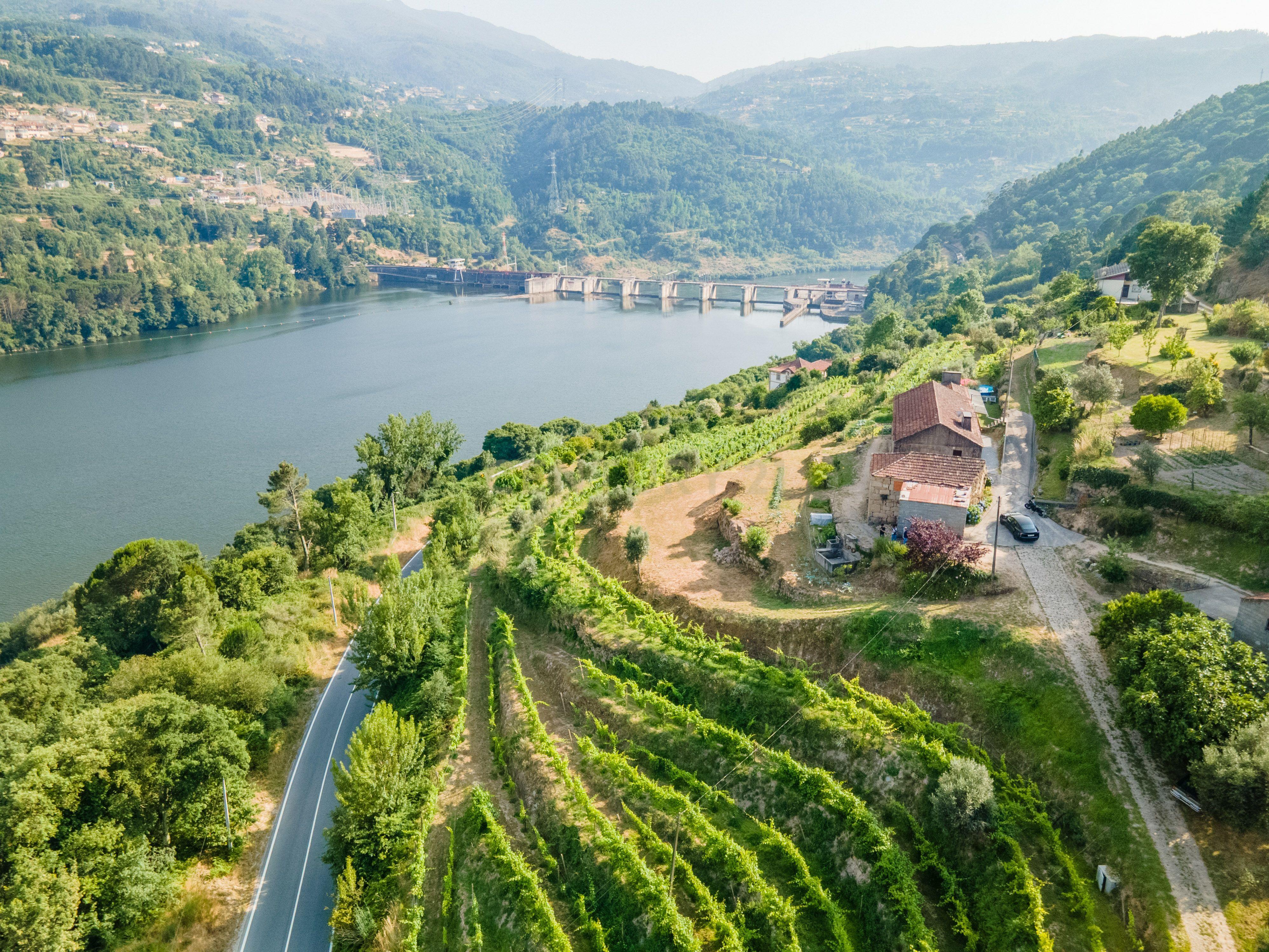 Quinta com Vista Deslumbrante sobre o Rio Douro – Projeto Aprovado para Hotel Rural | Paços de Gaiolo - Image 11